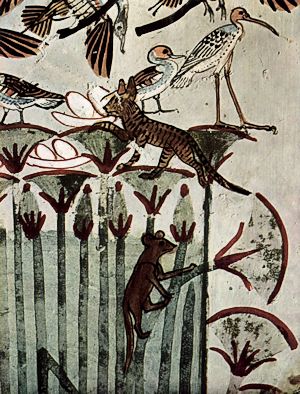 hunting in the reeds menna tomb